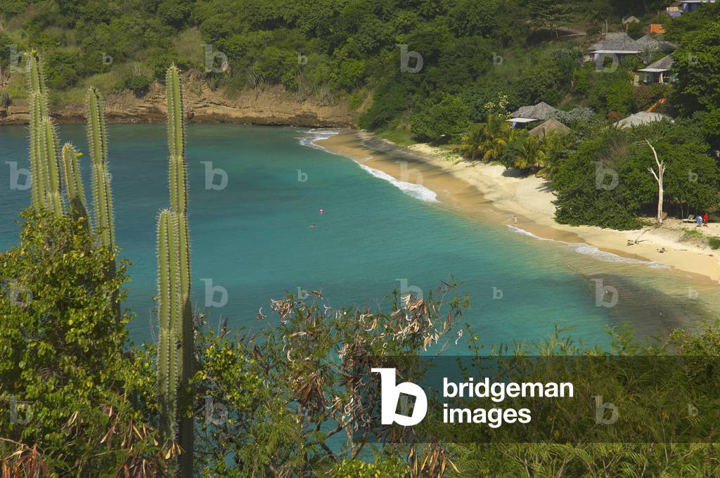 Caribbean, Dr Groom's Beach, Grenada (photo)
