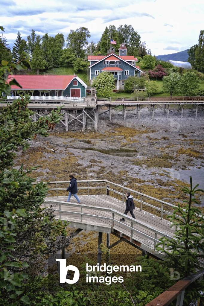 Two visitors to Halibut Cove walk the boardwalk that connects the buildings on Ismailof Island, Southcentral Alaska (photo)