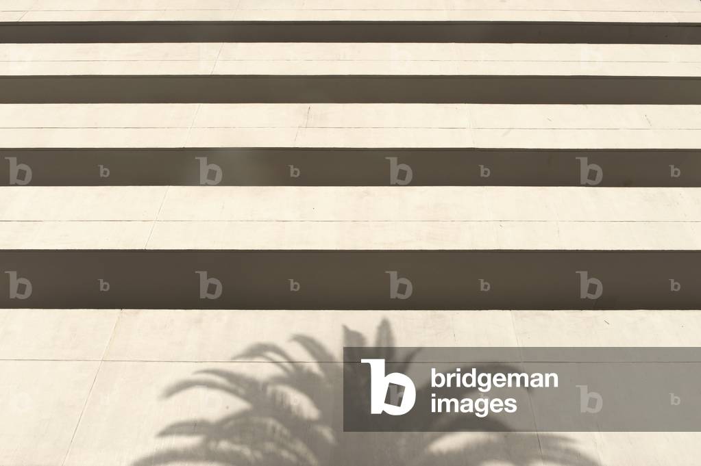Morocco, Shadow of palm tree on white concrete office building, Casablanca (photo)