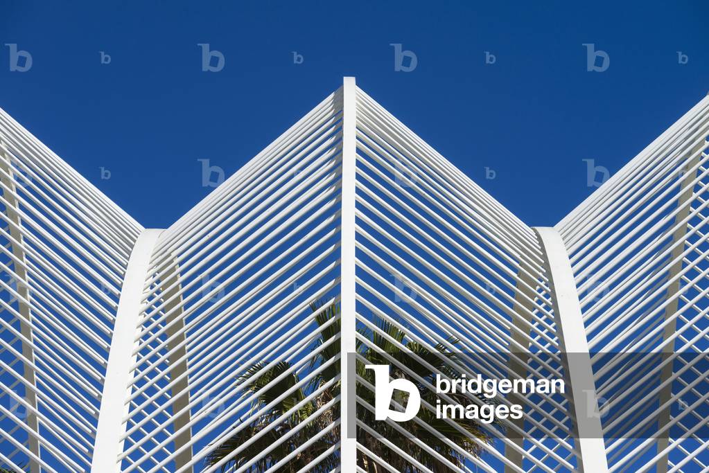 View of Umbracle and Palm Trees in Ciudad De Las Artes Y Las Ciencias (City of Arts and Sciences), Valencia, Spain (photo)