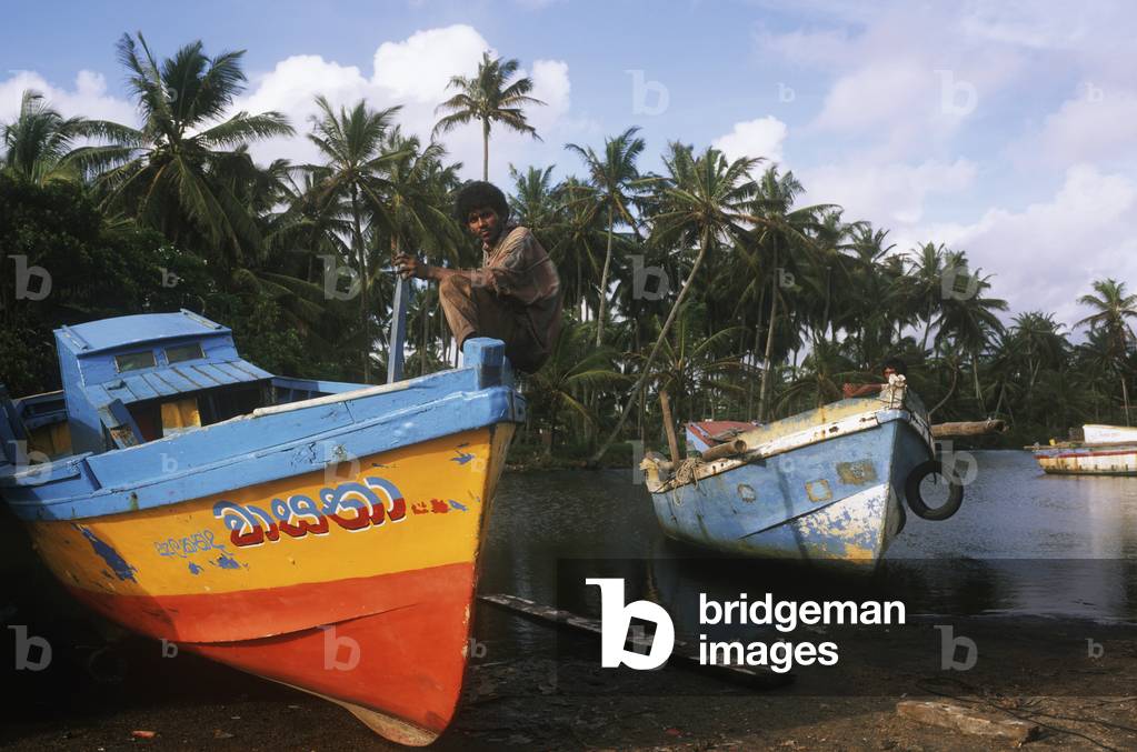 Fishing Boats and Palms (photo)