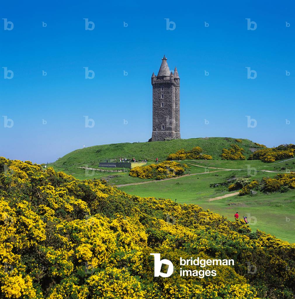 Scrabo Tower And Country Park, Newtownards, Co Down, Ireland (photo)