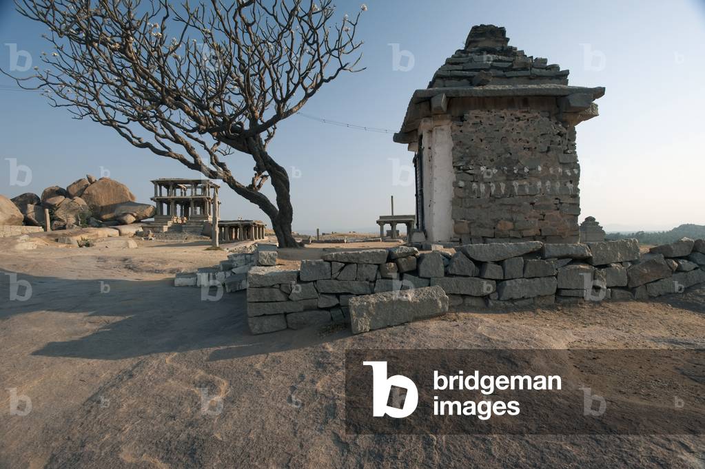 Religious and historic structure beside a leafless tree, Hampi, Karnataka, India (photo)