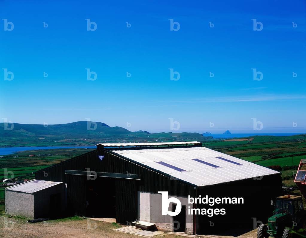 A Cattle Shed In County Kerry (photo)