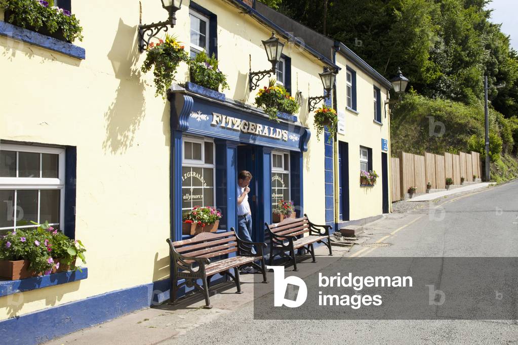 Exterior Of Fitzgeralds Pub; Avoca, County Wicklow, Ireland (photo)