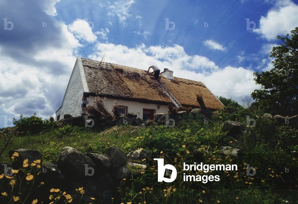Co Galway, Ireland; Man Thatching A Traditional Cottage (photo)