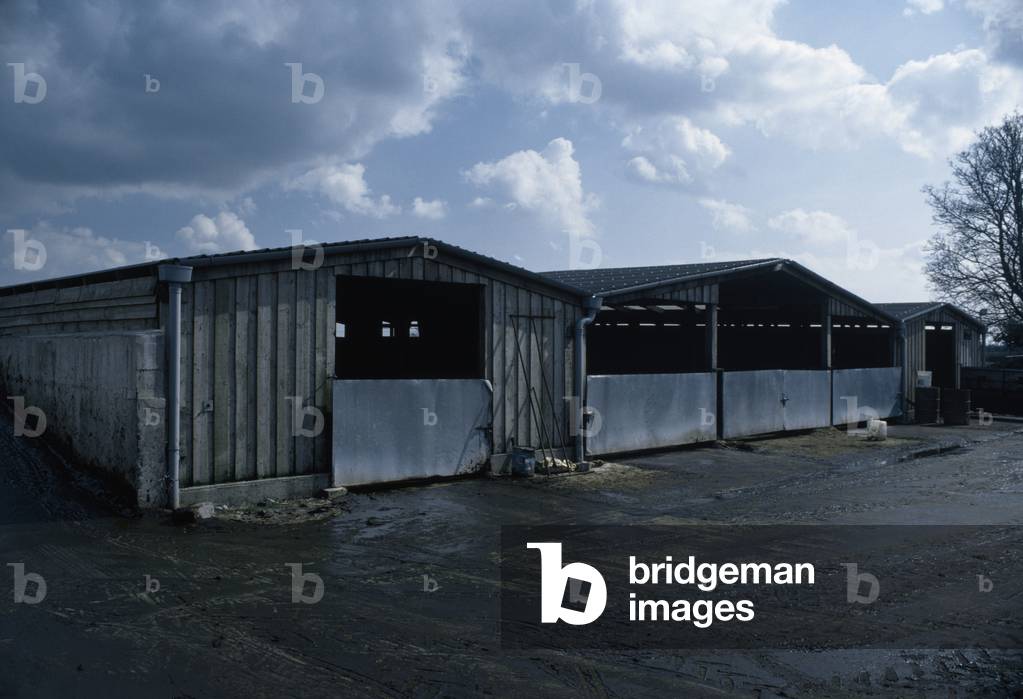 Exterior View Of Farm Buildings (photo)