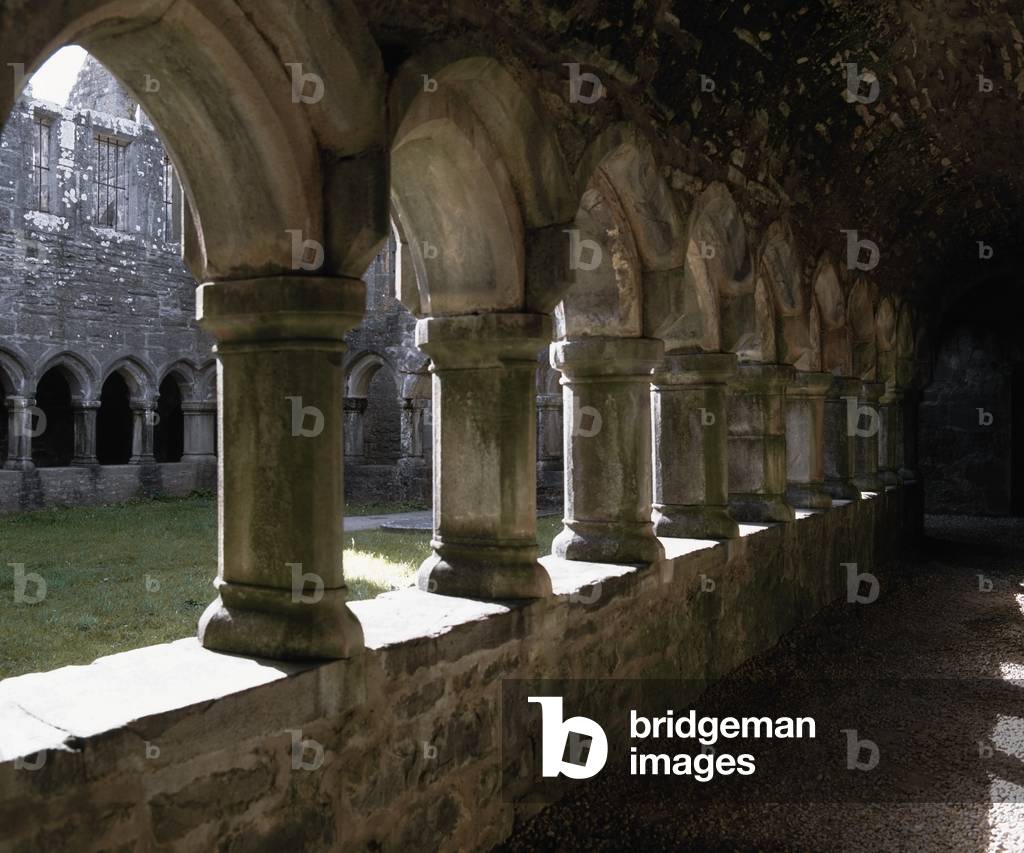 Moyne Abbey, Co Mayo, Ireland; 15Th Century Franciscan Abbey (photo)