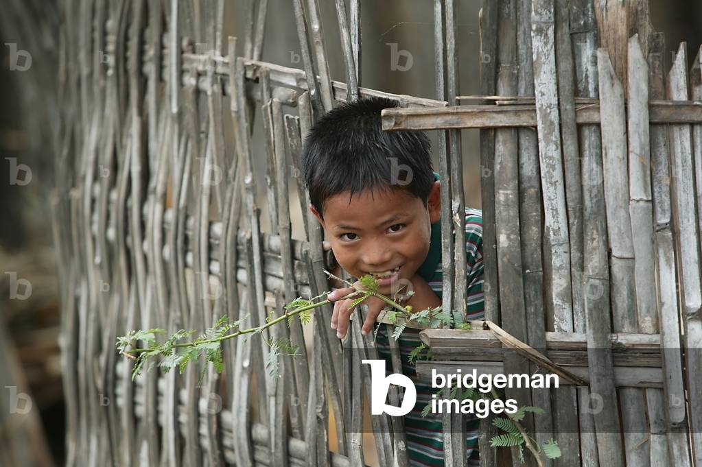 Boy Looks through Bamboo Fence in a Village in the Ayeyarwady River Delta, Myanmar, Ayeyarwady, Burma (photo)