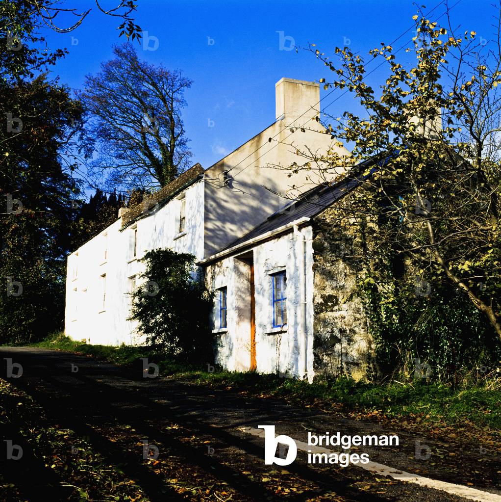 Disused Houses (photo)