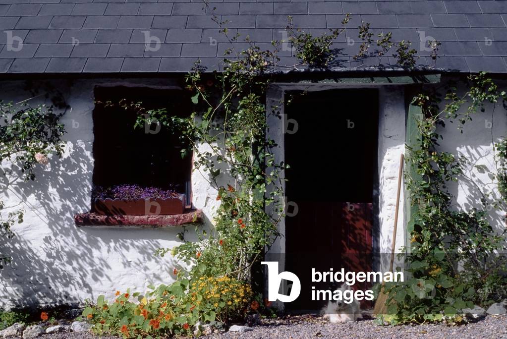 Dingle, Co Kerry, Ireland; Exterior View Of A Traditional Cottage (photo)