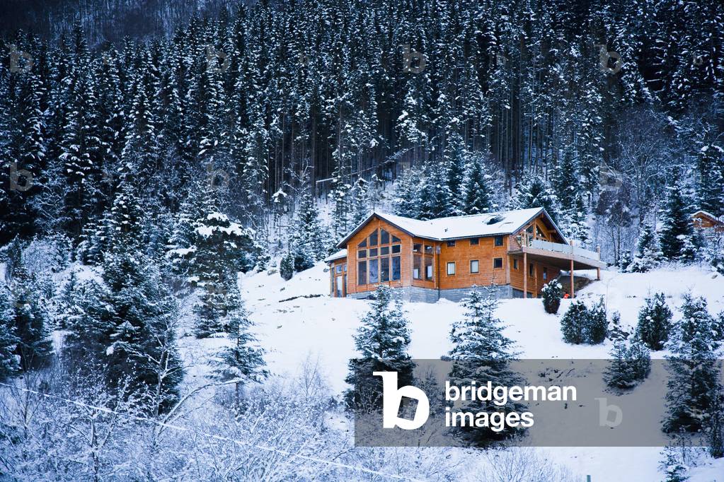 Norway, Sognefjord, winter wonderland, Ortnevik, Alpine Log cabin in snow, Pine forest Brekke Rental Cabins, snow, Mountains, Winter Alpine scenery (photo)