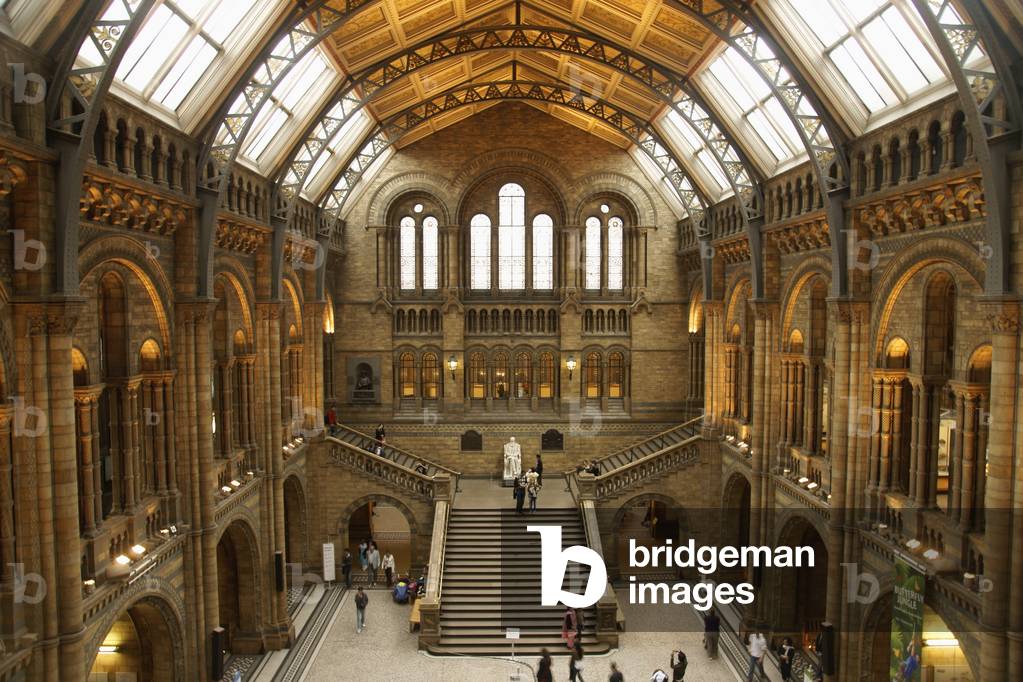 High angle view of the interior of the Natural History Museum, Kensington, London, England, UK (photo)