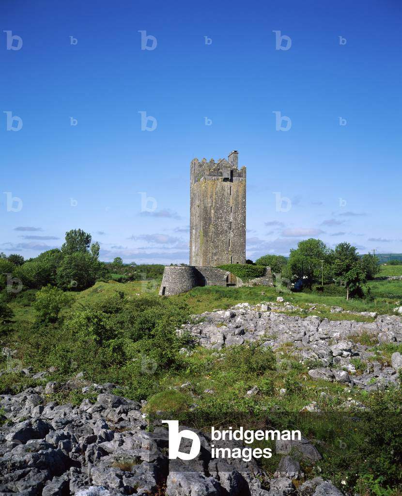 Ballyportry Castle, Corrofin, Co Clare, Ireland; Tower House (photo)