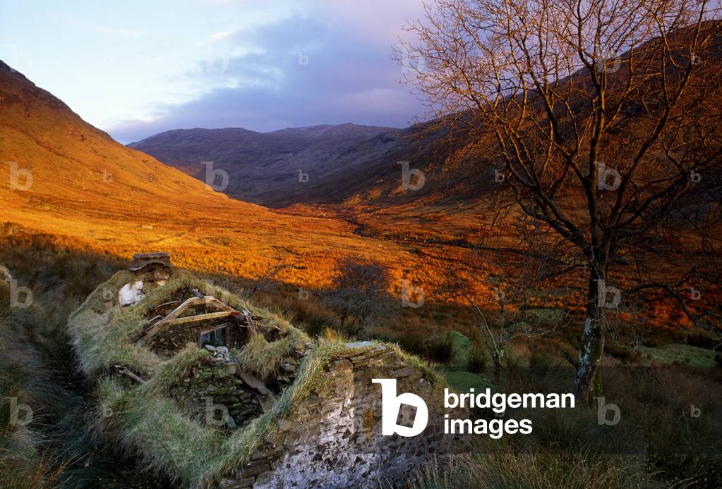 Struell Valley, County Donegal, Ireland; Cottage Ruins (photo)