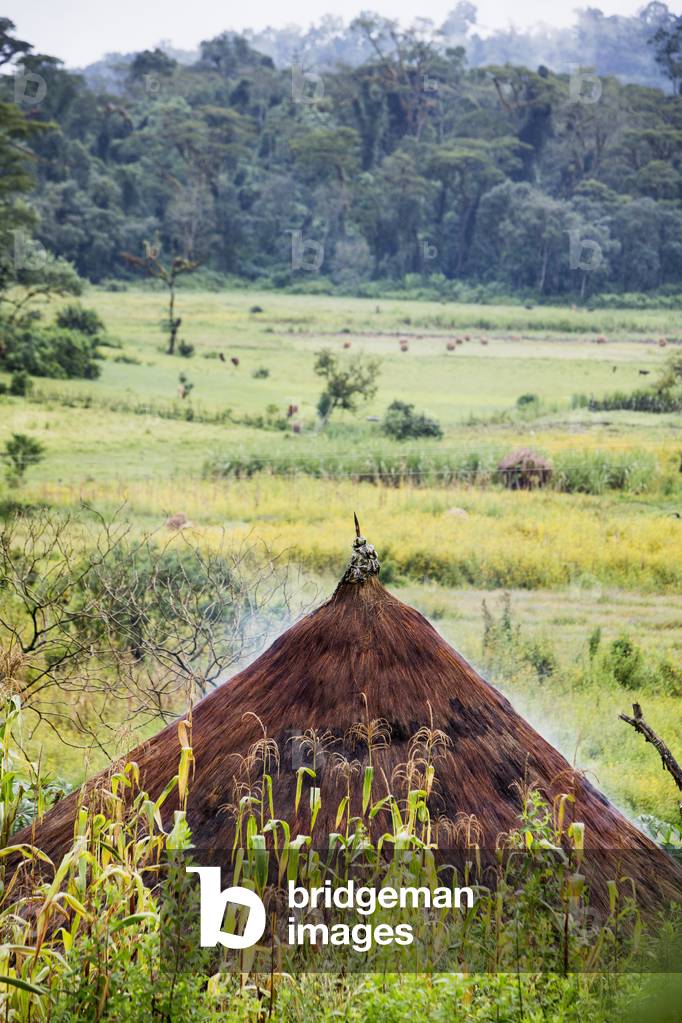 Straw roofed hut, Ethiopia (photo)