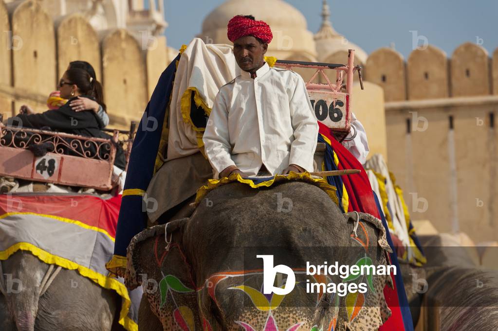 India, Rajasthan, Elephants going up and down path to Amber Fort, Jaipur (photo)