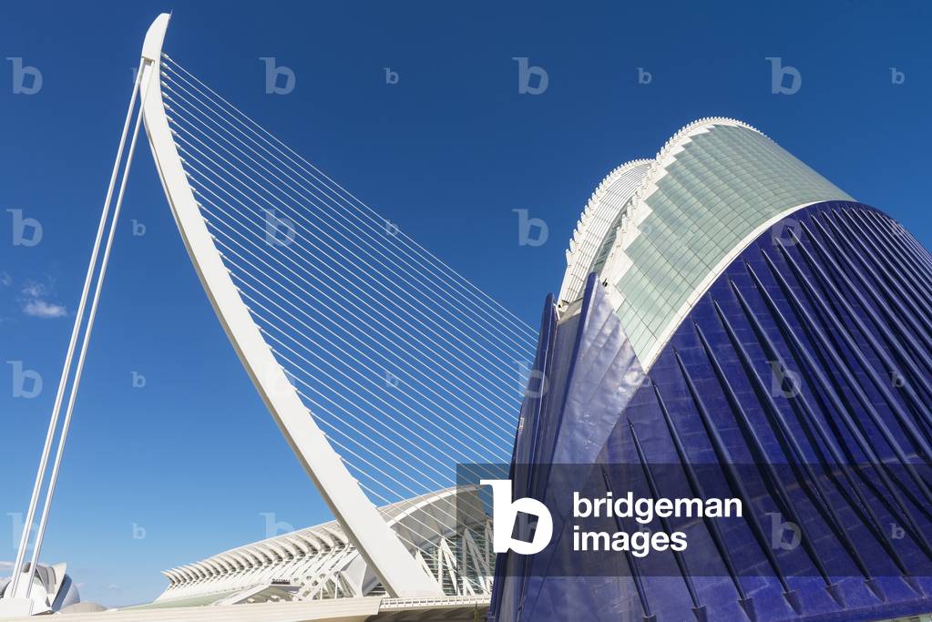 View of El Pont De L'assut De L'or and L'agora in Ciudad De Las Artes Y Las Ciencias (City of Arts and Sciences), Valencia, Spain (photo)