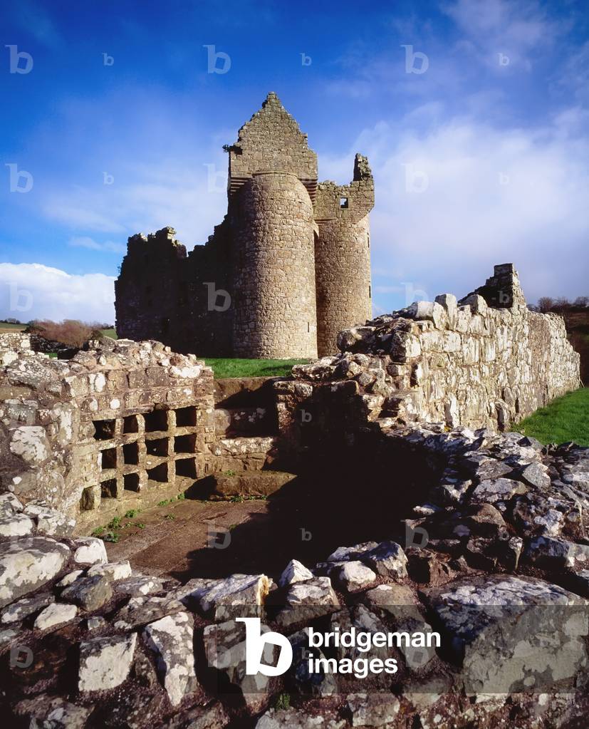 Castles, Monea Castles, Fermanagh (photo)