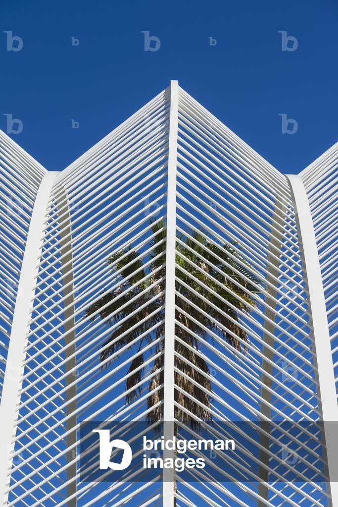 View of Umbracle and Palm Trees in Ciudad De Las Artes Y Las Ciencias (City of Arts and Sciences), Valencia, Spain (photo)