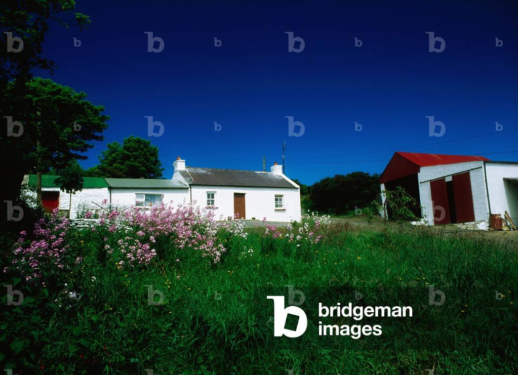 Inishowen, Co Donegal, Ireland, Traditional Cottage (photo)