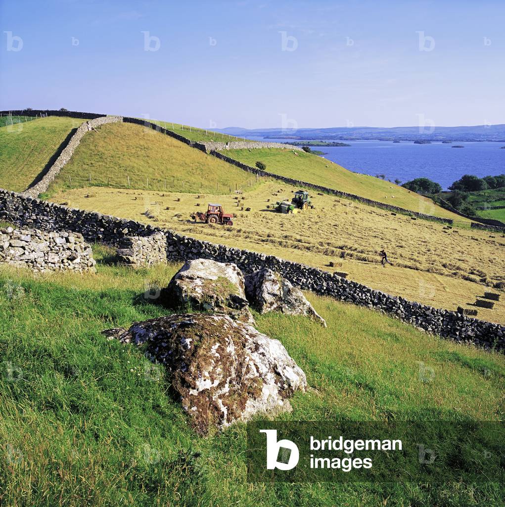 Co Galway, Ireland; Hay Making On The Shore Of Lough Corrib (photo)