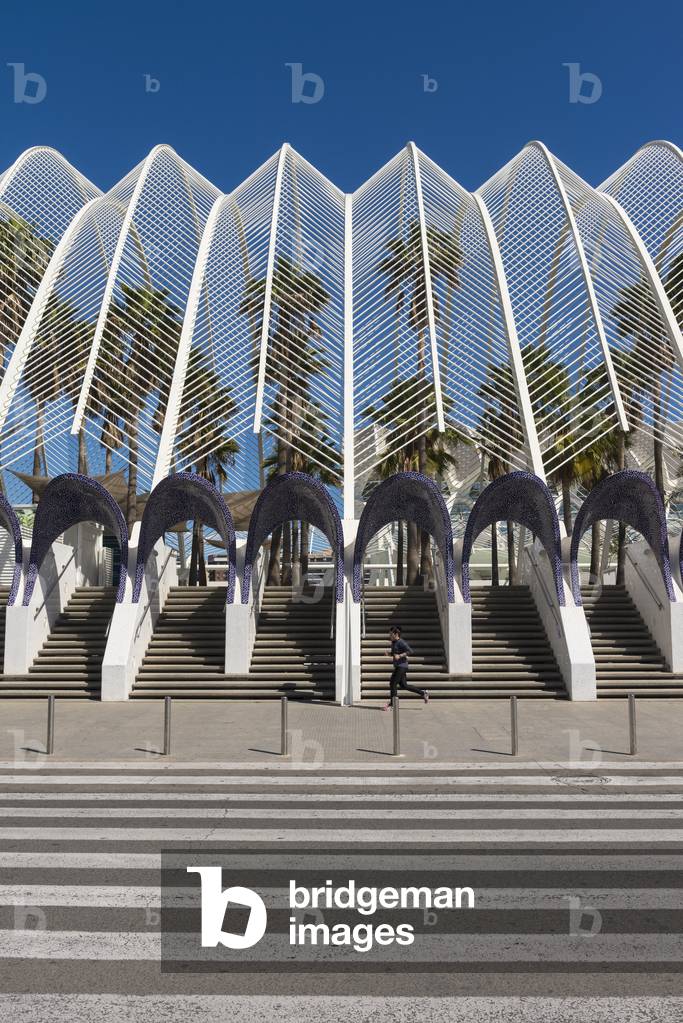 View of Umbracle and Palm Trees in Ciudad De Las Artes Y Las Ciencias (City of Arts and Sciences), Valencia, Spain (photo)