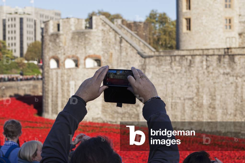 Ceramic poppies at the Tower of London commemorating the 100th anniversary of World War One, London, England, UK  (photo)