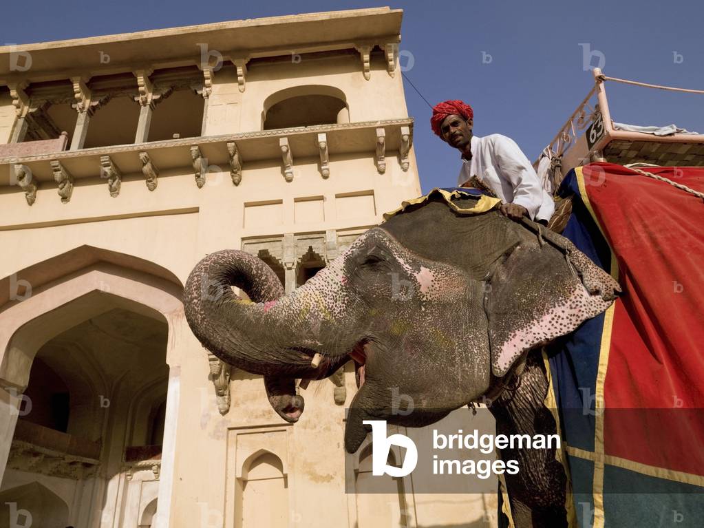 Man sitting on Elephant, Amber Fort, Jaipur, India (photo)