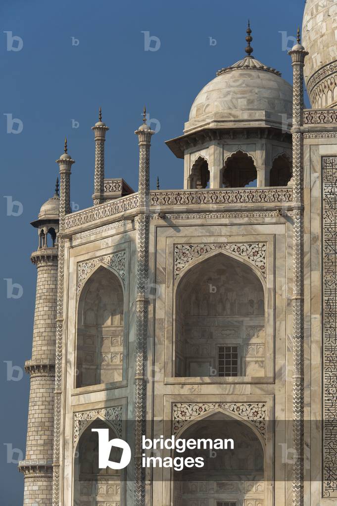 Detail of the Taj Mahal, Agra, India (photo)
