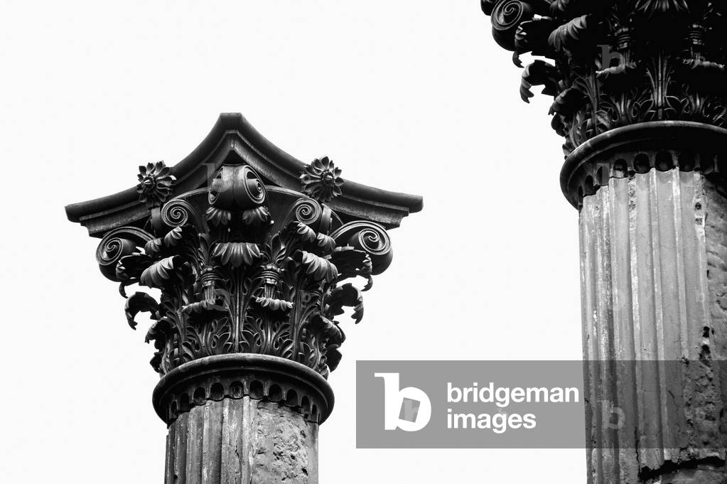 USA, Columns in Windsor Ruins, Mississippi (photo)