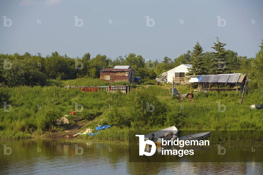 Cabin W/Smokehouse & Fish Drying Racks Shoreline Of Kuskokwim River Tuluksak Western Alaska Summer (photo)