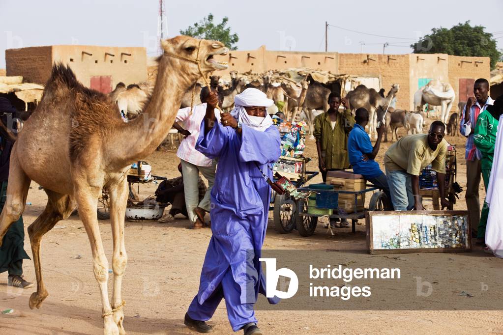 Niger, Air Region, Tuareg man wearing traditional clothing with camel on livestock market, Agadez (photo)