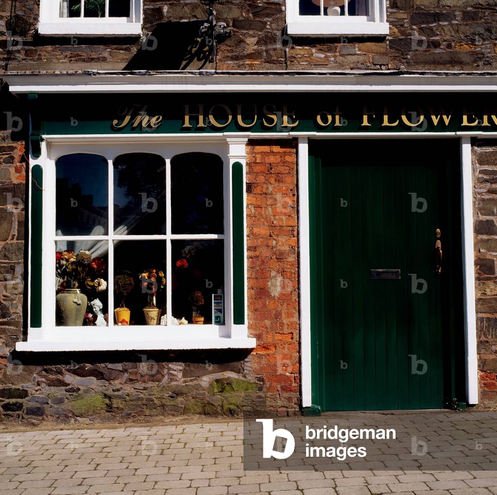 Store Front, Hillsborough, Co Down, Ireland (photo)