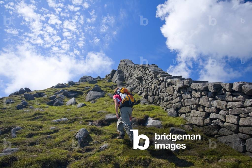 Mourne Mountains, Co Down, Ireland; Hiker Beside The Mourne Wall On The Slopes Of Slieve Bearnagh (photo)