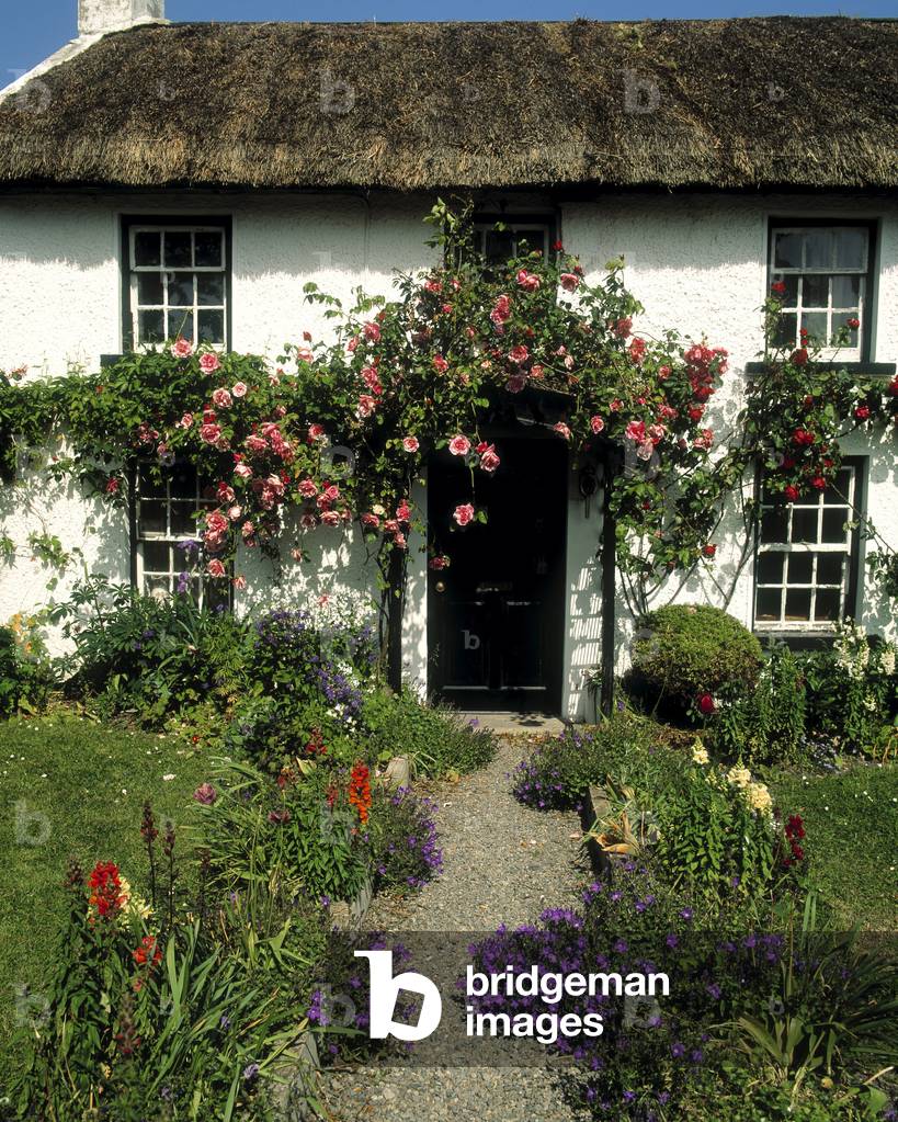Thatched Cottage, Carlingford, Co Louth, Ireland (photo)