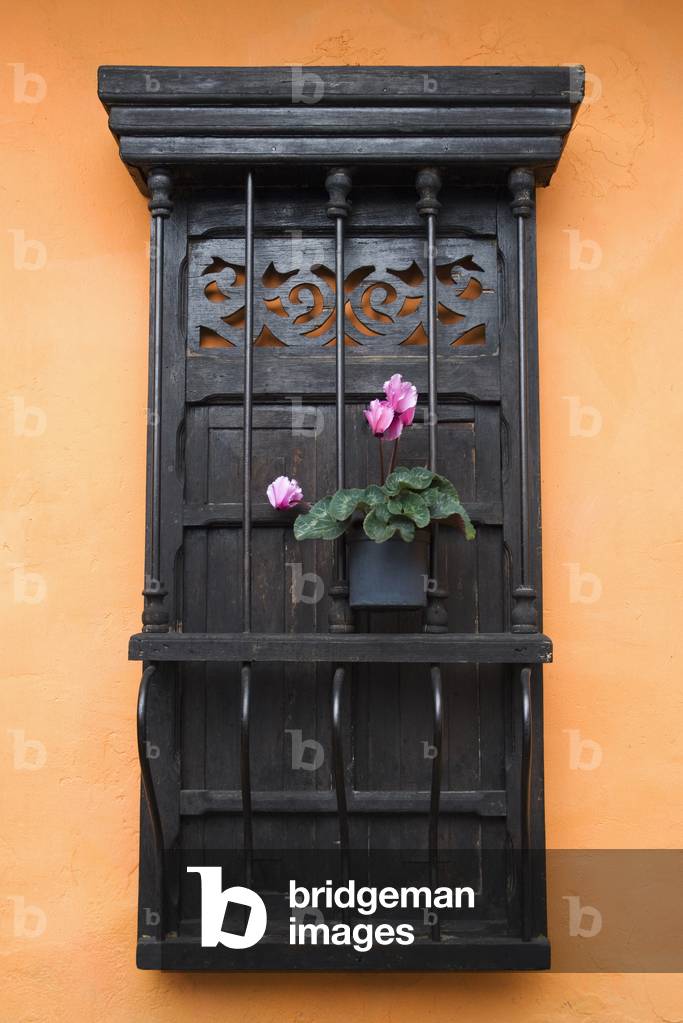 Colombia, Bogota, Window and Potted Flower, La Candelaria (photo)