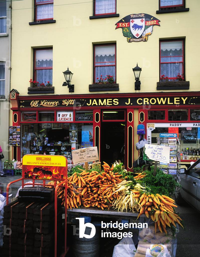 Co Galway Cregg Castle (photo)