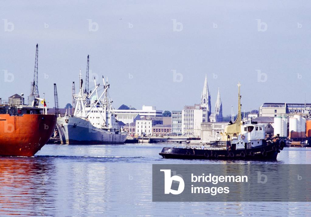 Cork City, Co Cork, Ireland, River Lee (photo)