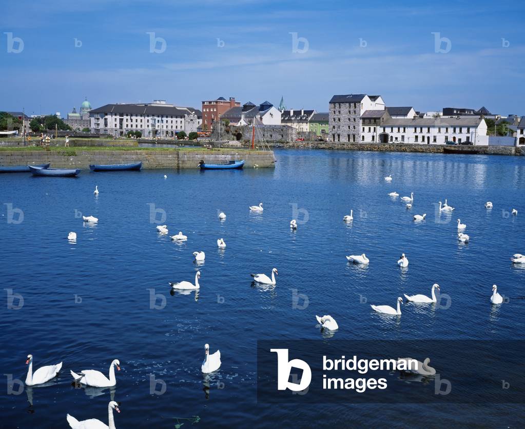 Galway, County Galway, Ireland (photo)