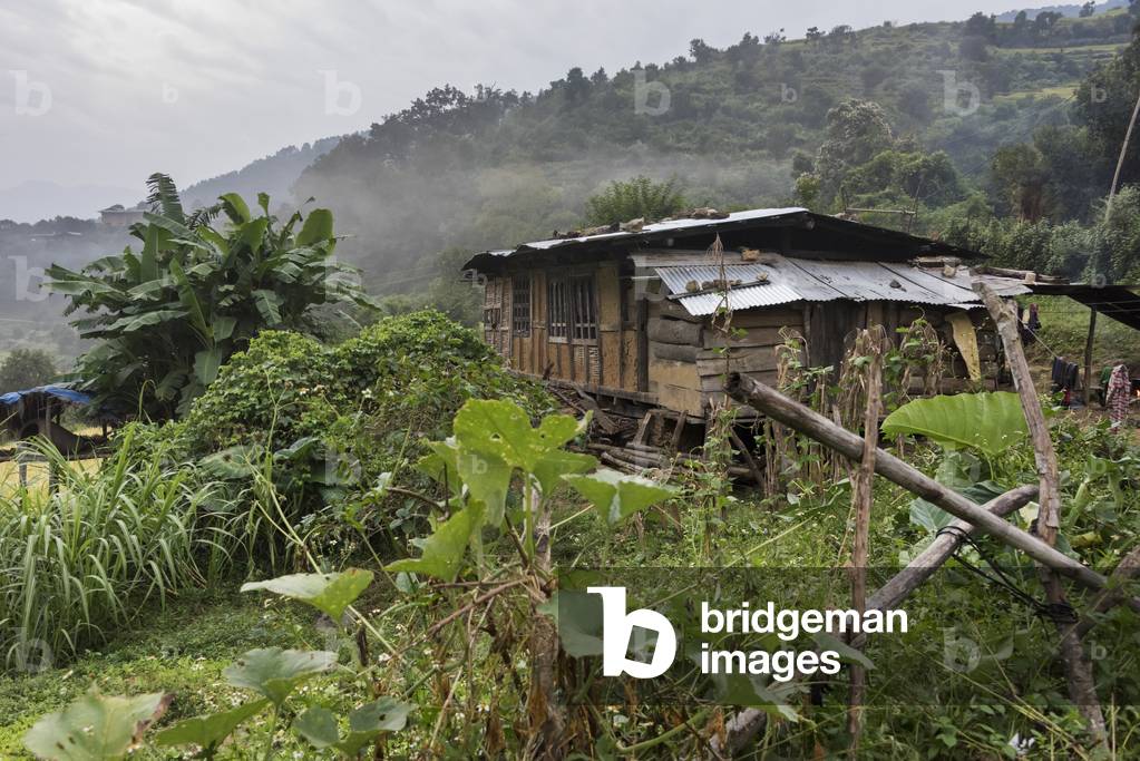 House in a valley with low cloud and vegetation, Punakha, Bhutan (photo)