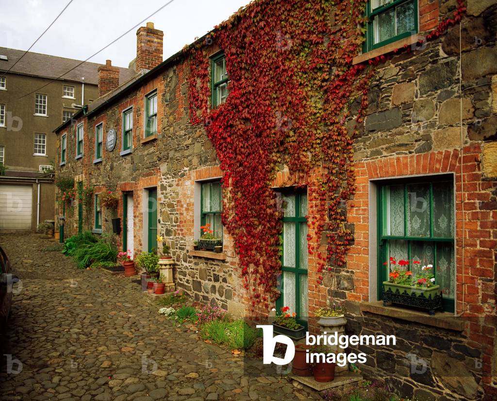 The Shambles, Hillsborough, Co Down, Ireland (photo)