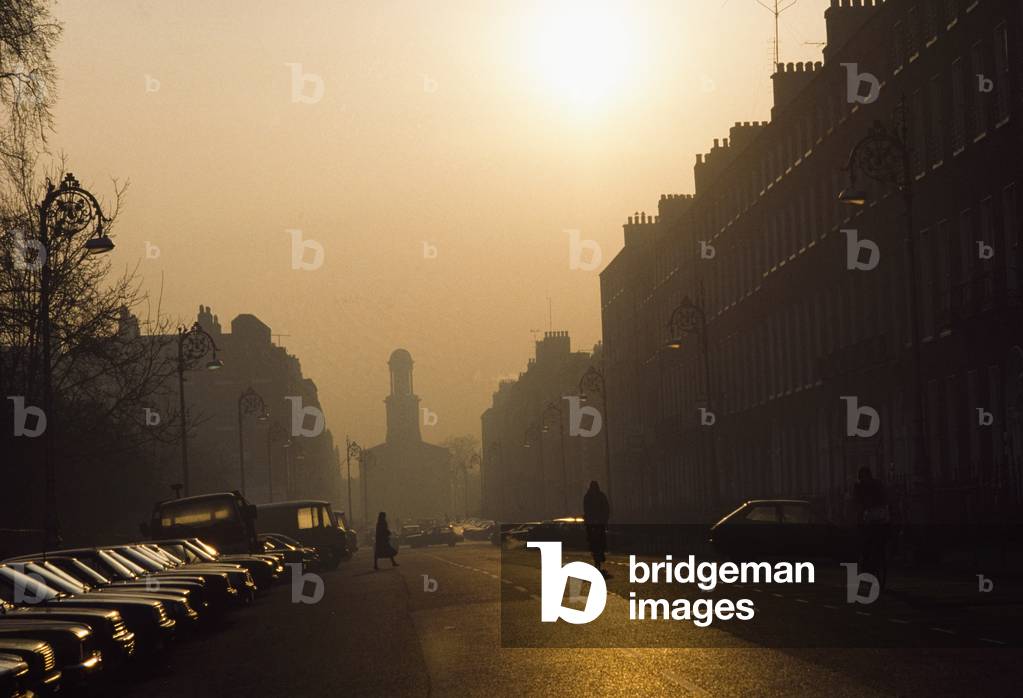 Dublin, Co Dublin, Ireland, Upper Mount Street (photo)