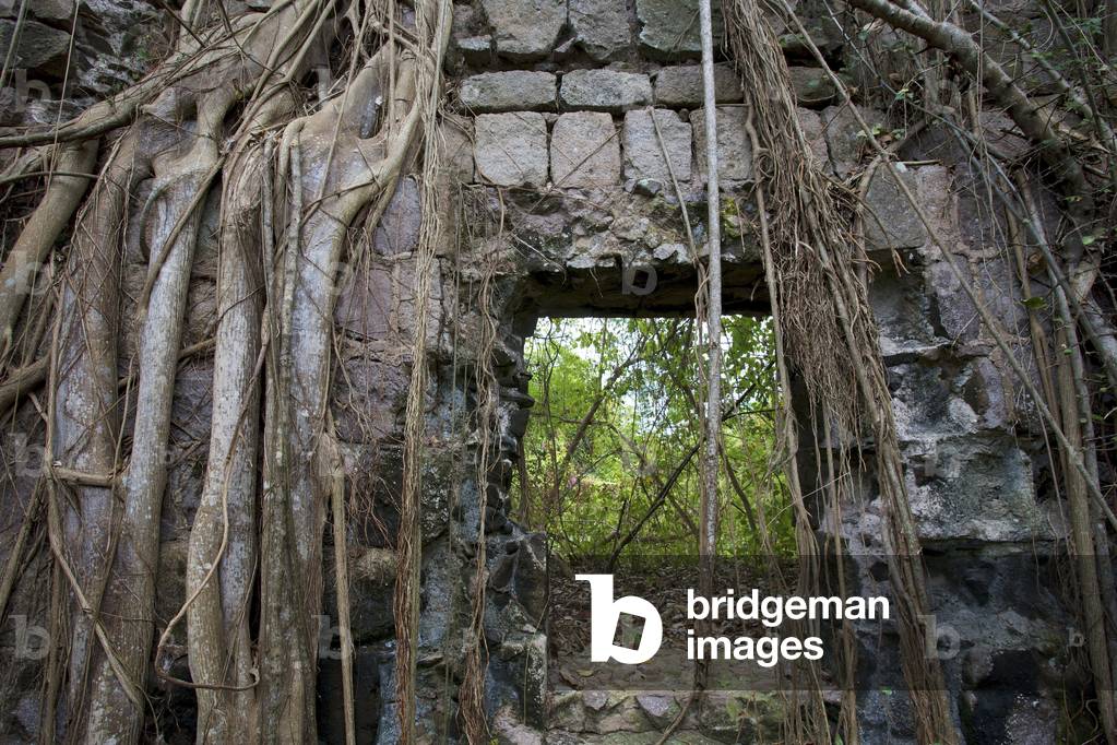 Abandoned sugar plantation, Nevis Island, West Indies (photo)