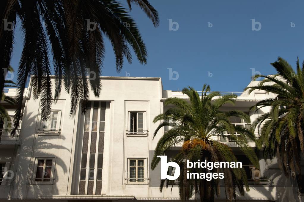 Morocco, Art deco buildings and date palms at dawn, Casablanca (photo)