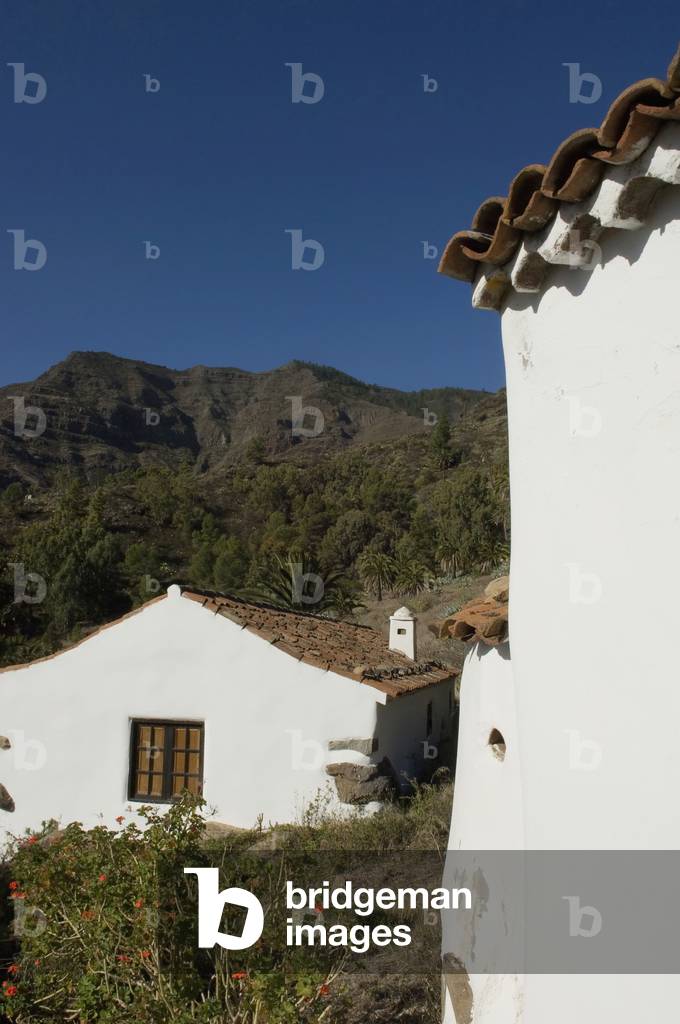 Spain, Canary Islands, Island of La Gomera, Village of Benchijigua in Integral Nature Reserve, Santiago Ravine (photo)