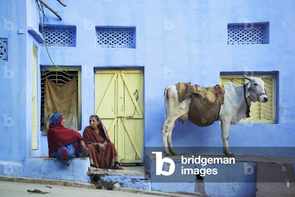 Two Women and A Cow Sitting Outside of A House in Bundi, Rajasthan, India (photo)