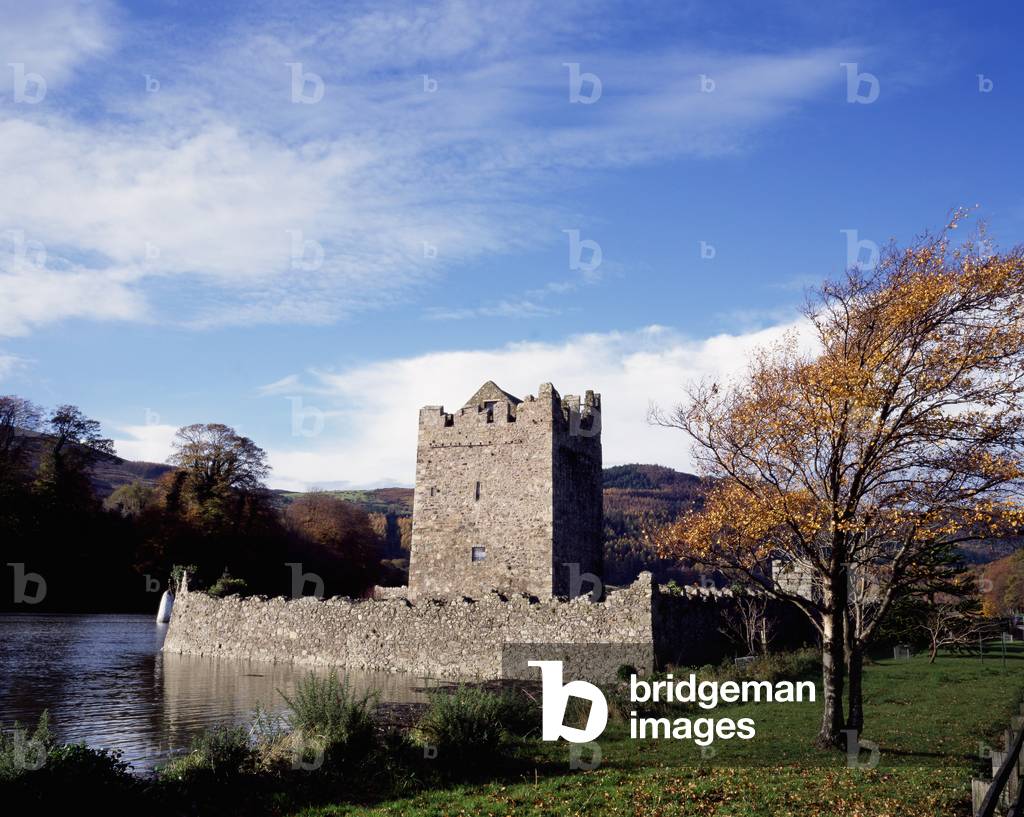 Narrow Water Castle, Co. Down, Ireland (photo)