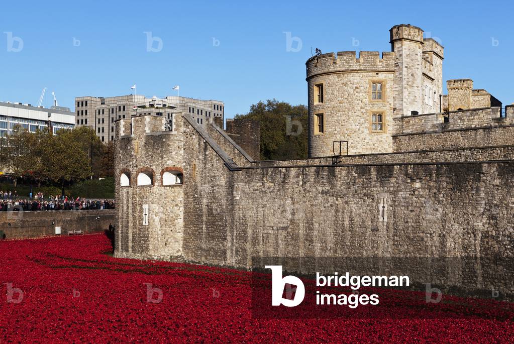 Ceramic poppies at the Tower of London commemorating the 100th anniversary of World War One, London, England, UK  (photo)