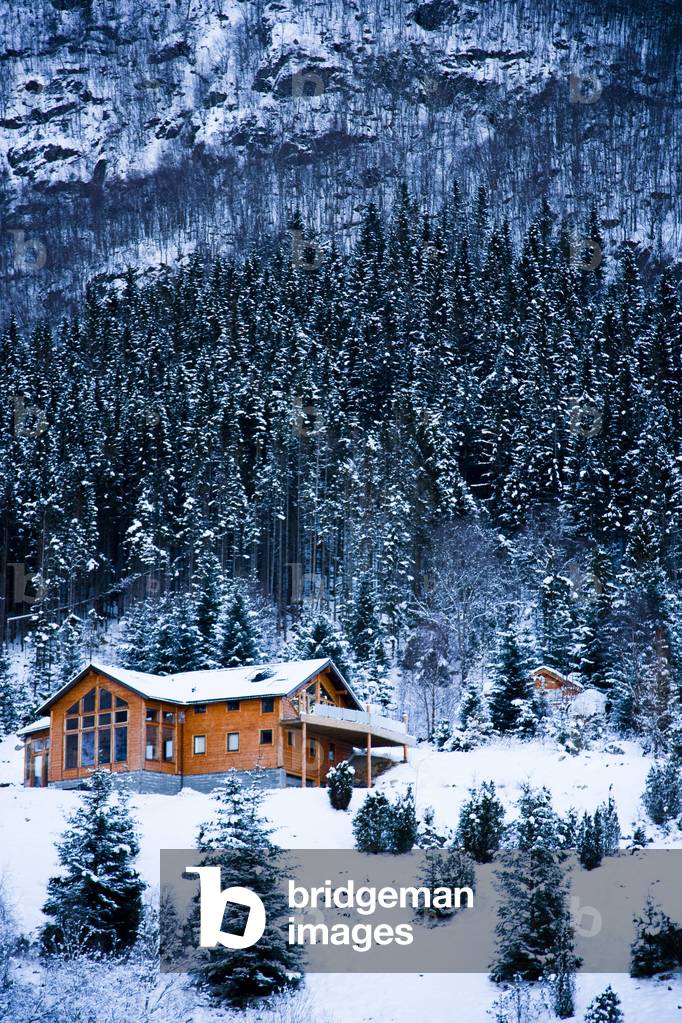 Winter alpine scenery with mountains, snow and a pine forest with Brekke rental cabins, Ortnevik, Sognefjord, Norway (photo)